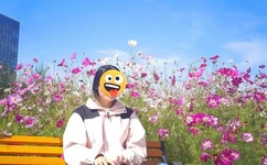 狗狗配人怎么配电视